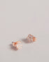<P>Tbj3133 Magnolia Enamel Stud Earring</P>